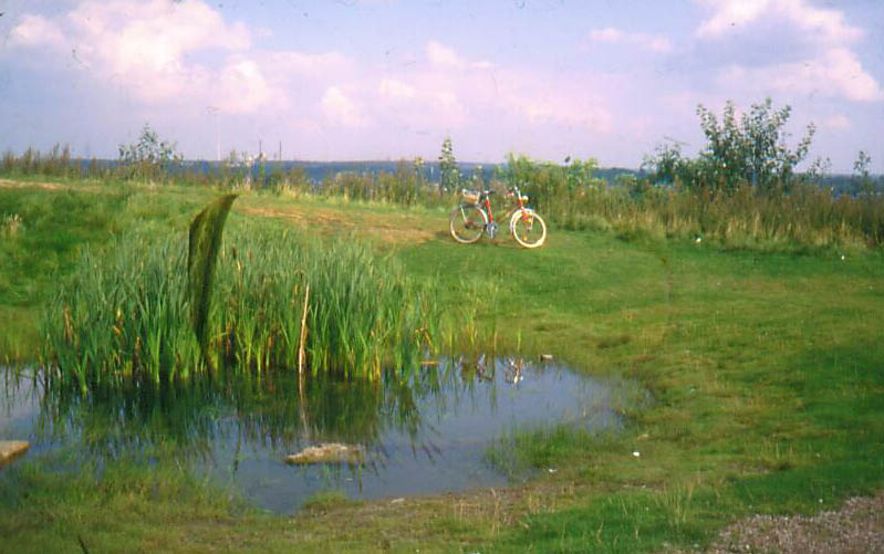 Braucker Haldenlandschaft, Gladbeck