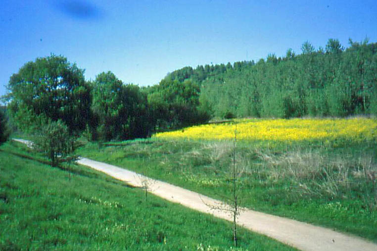 Braucker Haldenlandschaft