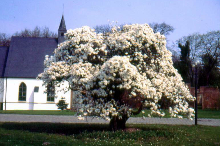 Schlosskapelle Herten
