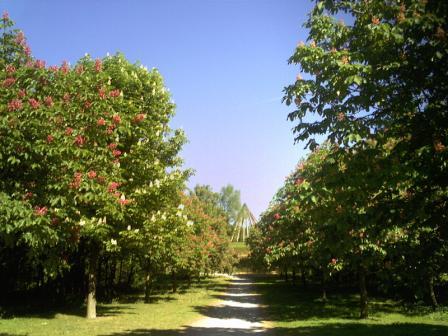 Gesundheitspark Bottrop