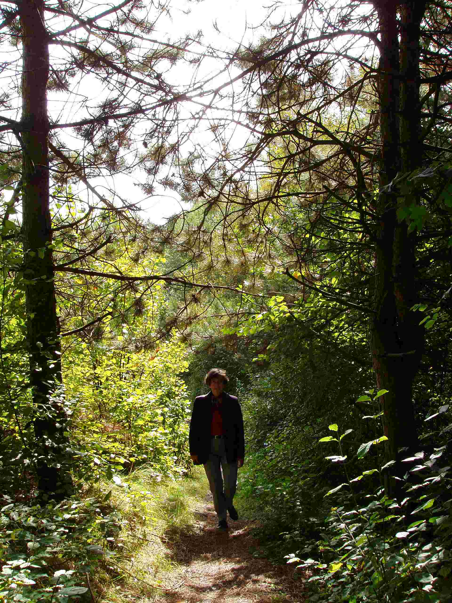 Wanderweg auf dem Hoppenbruch
